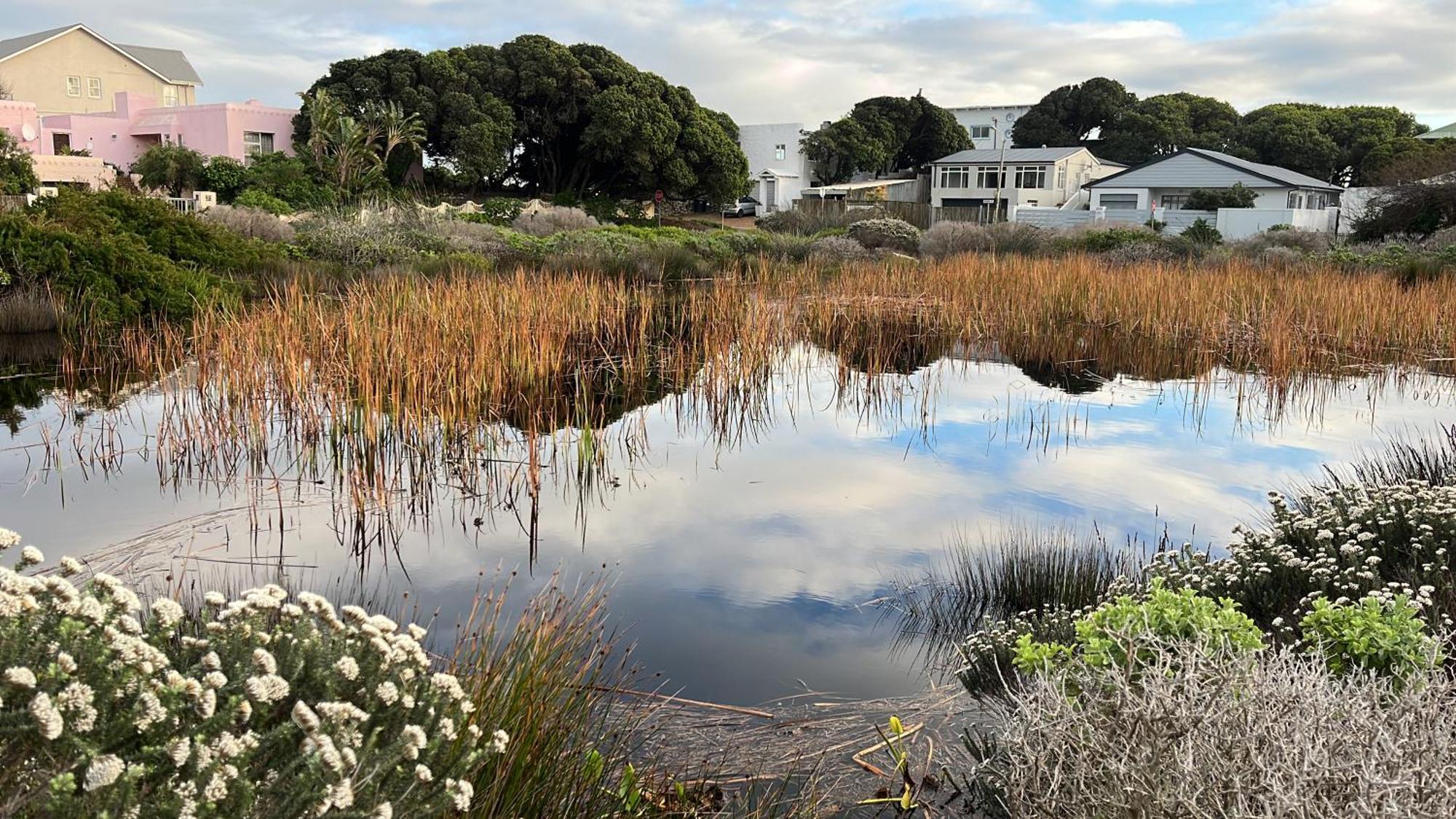 Storyhouse In Kommetjie Buitenkant foto